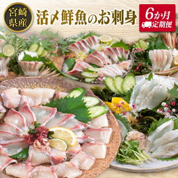 【ふるさと納税】◇＜6か月定期便＞延岡産活〆鮮魚の豪華お刺身