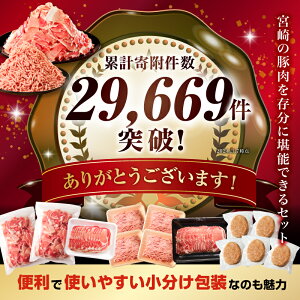 【ふるさと納税】 《レビューキャンペーン》 生活応援！ 大満足 豚肉 バラエティ セット 4.5kg ミヤチク 豚ロース 切り落とし ミンチ 肉 豚 お肉 宮崎県産 国産 人気 スライス 生姜焼き しゃぶしゃぶ ハンバーグ 訳あり 小分け 使い勝手 冷凍 グルメ 宮崎県 宮崎市 送料無料