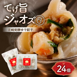 【ふるさと納税】 てげ旨ジャオズ 【白】 3食分 24個入 毎月 数量限定 冷凍 宮崎餃子 フードアワード 審査員賞受賞 宮崎県産 豚肉 にら 生姜 米糀 自家製発酵調味料 簡単調理 腹持ちが良い 豊富な食材 多様な栄養 ゆでるだけ 宮崎市