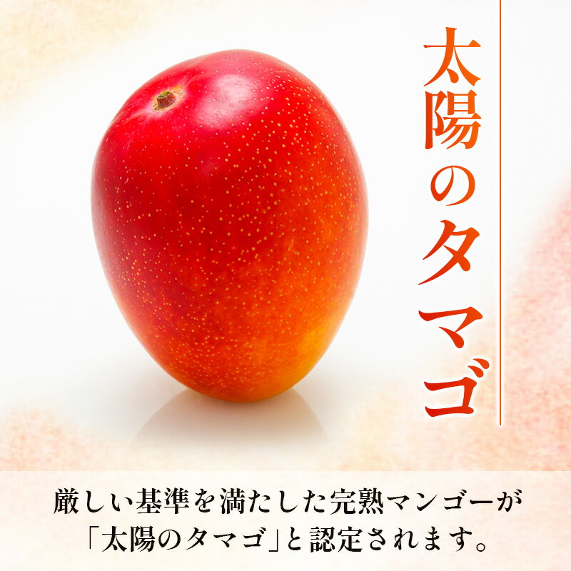 宮崎県宮崎市の画像2