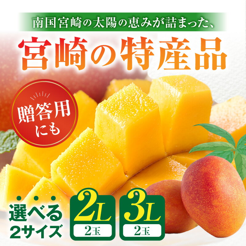 宮崎県宮崎市の画像2