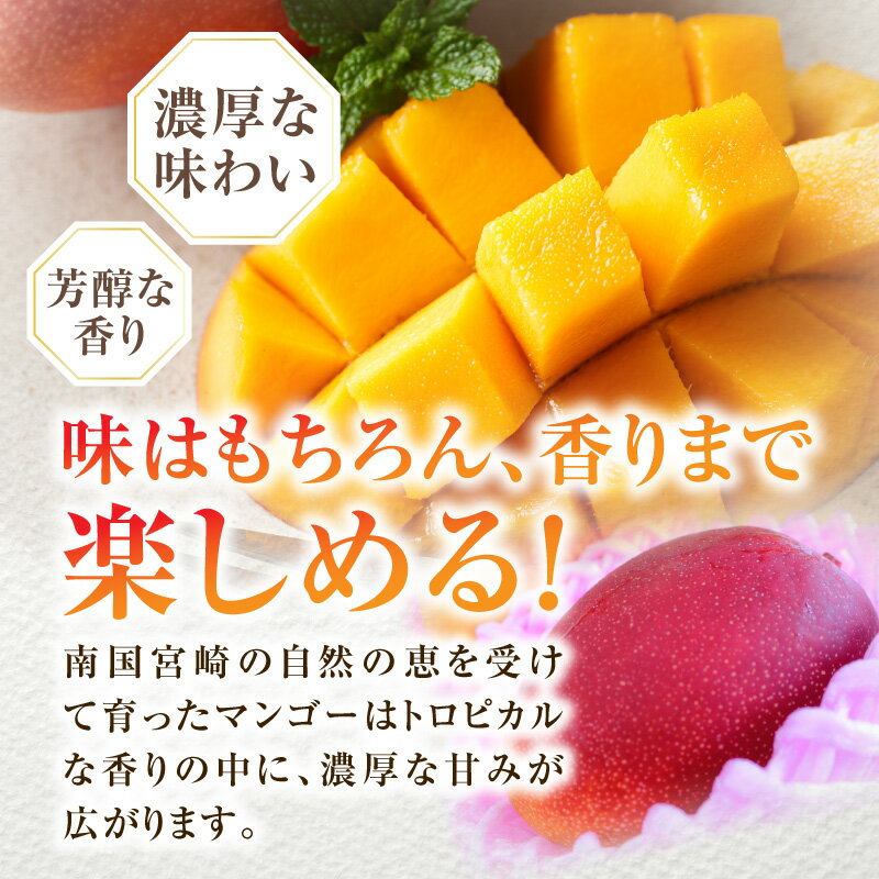 宮崎県宮崎市の画像3