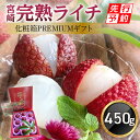 yӂ邳Ɣ[Łzys\zԌ ʌ ʕ ʎ ʓ t[c tbVC` 썑 {茧Y n C` 450g ① ϔ PREMIUM  Mtg yY pCIjA z {茧 {s 