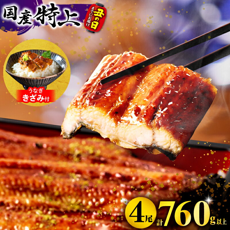 【ふるさと納税】高評価★4.79 総合