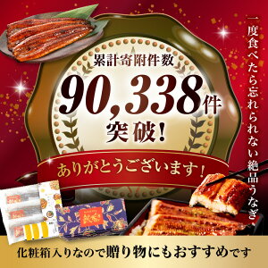 【ふるさと納税】《レビューキャンペーン》 鰻 国産 たれ うなぎ 蒲焼 3尾(計480g以上) 鰻蒲焼 ウナギ蒲焼用たれ さんしょうのセット(うなぎ1尾160g以上の鰻3尾からなるウナギの詰め合わせ) 上 土用 丑の日 ギフト 冷凍 グルメ 惣菜 人気 養殖 宮崎市 送料無料