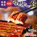【ふるさと納税】 鰻 国産 たれ うなぎ 蒲焼 3尾(計540g以上) 鰻蒲焼 ウナギ蒲焼用たれ さんしょうのセット(うなぎ1尾180g以上の鰻3尾からなるウナギの詰め合わせ)《レビューキャンペーン》 上 土用 丑の日 ギフト 冷凍 グルメ 惣菜 人気 養殖 宮崎市 送料無料 - 宮崎県宮崎市