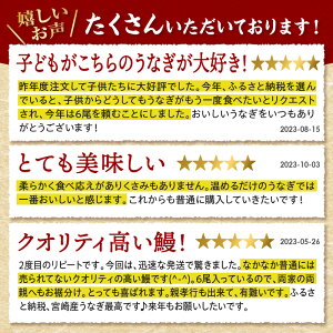 【ふるさと納税】《レビューキャンペーン》 国産 うなぎ 蒲焼 6尾(計1,020g以上) 鰻蒲焼 ウナギ焼用たれ さんしょうのセット(うなぎ1尾170g以上の鰻6尾からなるウナギの詰め合わせ) 上 土用 丑の日 ギフト 冷凍 グルメ 惣菜 人気 簡単調理 お取り寄せ 養殖 宮崎市 送料無料