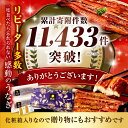 宮崎県宮崎市の画像2