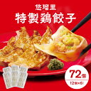 【ふるさと納税】国産野菜 宮崎県産 人気ラーメン店 鶏肉 桜姫 悠瑠里 特製 鶏餃子 72個 秘伝 ラーメンダレ おかず おつまみ おすすめ 加工品 冷凍 惣菜...