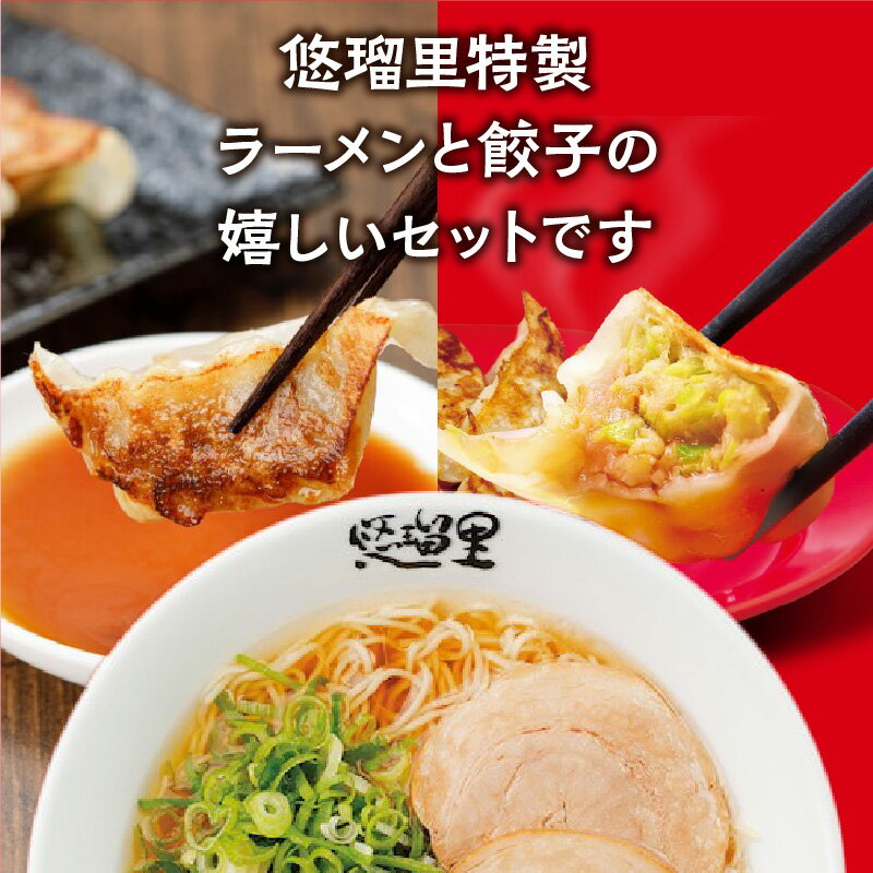 【ふるさと納税】悠瑠里 しょうゆら〜めん 4食 セット 悠瑠里特製餃子2P 鶏餃子2P スープ 麺 具 付き チャーシュー メンマ きくらげ 餃子 鶏餃子 国産野菜 宮崎県産 豚肉 使用 鶏肉 桜姫 ラーメンダレ おつまみ おかず グルメ お取り寄せ 冷凍 宮崎県 宮崎市 送料無料