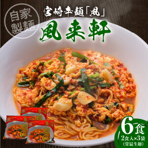 【ふるさと納税】宮崎県産 国産 鶏ガラ スープ 唐辛子 有名 人気店 風来軒 宮崎 辛麺 風 常温 生麺 中華麺 ハリガネ カタ麺 やわ麺 2食 3袋 自宅 本格的 宮崎県 宮崎市 送料無料