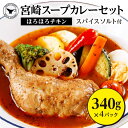 【ふるさと納税】宮崎 スープ カレー セット スープカレー 