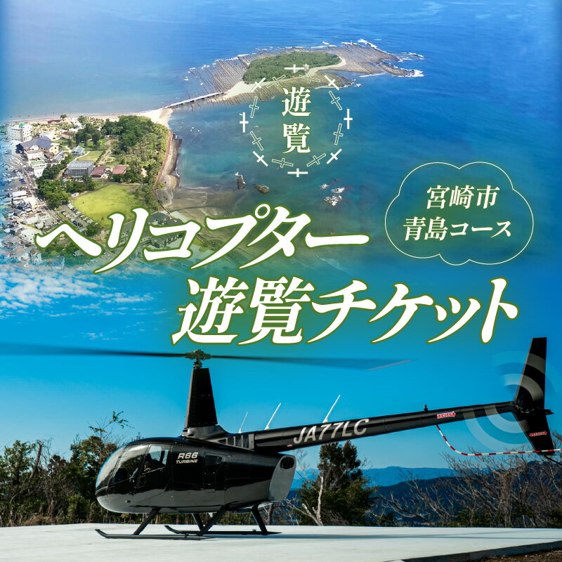 【ふるさと納税】宮崎市 ヘリコプター 遊覧チケット 青島 コ