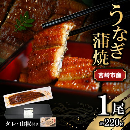 宮崎県 宮崎市産 うなぎの蒲焼 約220g 約220g×1尾 タレ 山椒 セット うなぎ 蒲焼き うなぎ蒲焼き タレ付き 山椒付き 加工品 加工食品 惣菜 お惣菜 おかず グルメ おすすめ お取り寄せ お取り寄せグルメ ギフト 贈り物 ご褒美 宮崎県 宮崎市 送料無料