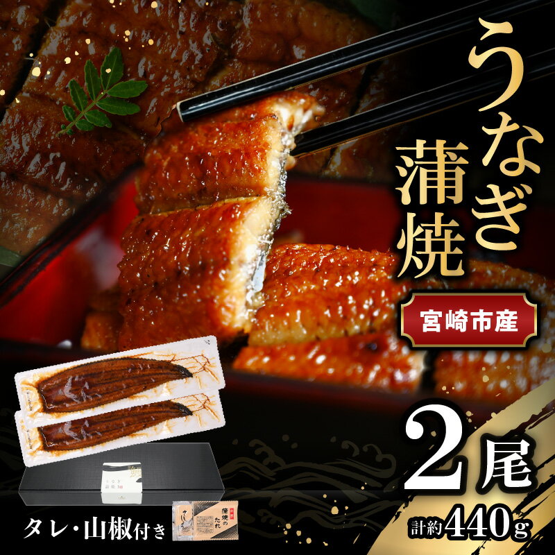 宮崎県 宮崎市産 うなぎの蒲焼 約440g 約220g×2尾 タレ 山椒 セット うなぎ 蒲焼き うなぎ蒲焼き タレ付き 山椒付き 加工品 加工食品 惣菜 お惣菜 おかず グルメ おすすめ お取り寄せ お取り寄せグルメ ギフト 贈り物 ご褒美 宮崎県 宮崎市 送料無料