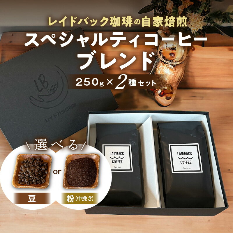 選べる 豆or中挽き粉 レイドバック珈琲 スペシャルティコーヒー ブレンド 250g×2種 セット 詰め合わせ 味比べ 飲み比べ コーヒー コーヒー豆 コーヒー粉 粉末 豆 自家焙煎 風味 朝 朝食 飲料 飲料類 ブレイクタイム 宮崎県 宮崎市 送料無料