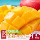 【ふるさと納税】《2026年発送 先行予約》【数量・期間限定】宮崎県産 訳あり完熟マンゴー 1.2kg 果物 フルーツ 果実 果肉 青果物 農産物 デザート ス...