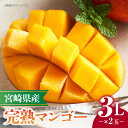 【ふるさと納税】《2025年発送》 宮崎県産 完熟マンゴー 3L×2玉 果物 フルーツ 果実 果肉 青果物 農産物 デザート スイーツ ご褒美 おすそ分け 贈り...