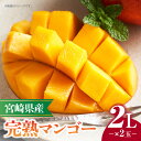 【ふるさと納税】《2025年発送》 宮崎県産 完熟マンゴー 2L×2玉 果物 フルーツ 果実 果肉 青果物 農産物 デザート スイーツ ご褒美 おすそ分け 贈り...