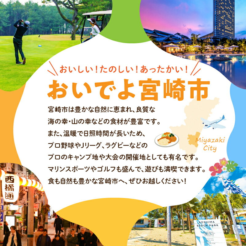 宮崎県宮崎市の画像3