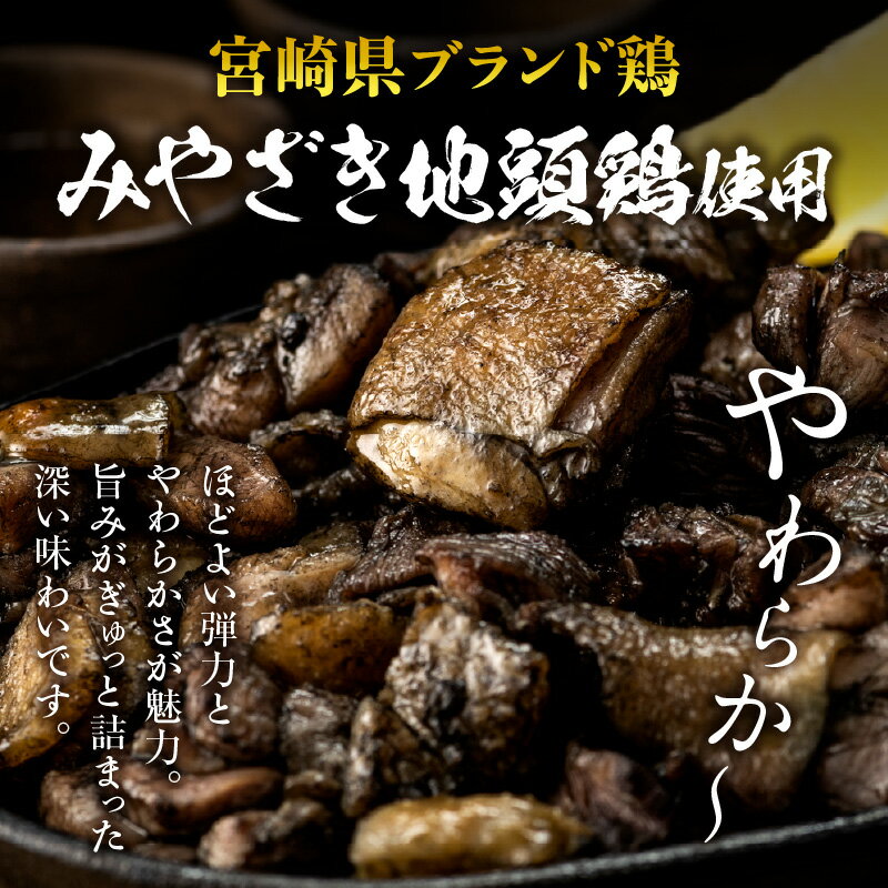 宮崎県宮崎市の画像2