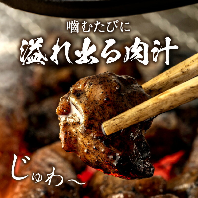 宮崎県宮崎市の画像3