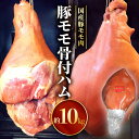 豚 モモ 骨付 ハム 国産 豚肉 ボンインハム モモ肉 豚モモ スモーク 熟成 皮付き 骨付き 10kg 国産豚肉 国産豚 肉汁 冷蔵 グルメ お取り寄せ お取り寄せグルメ 宮崎県 宮崎市 送料無料