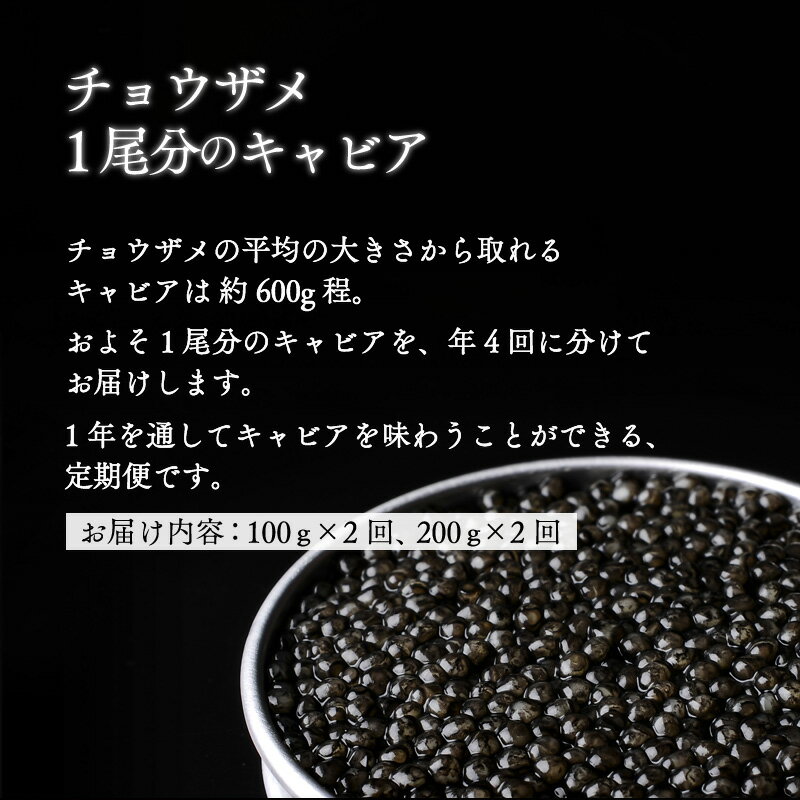 【ふるさと納税】【定期便全4回】チョウザメ1尾分のキャビアを1年でお届け 600g(100g×2回 200g×2回) 宮崎キャビア1983 キャビア チョウザメ魚卵 魚卵 卵 岩塩 熟成 珍味 贈答 贈り物 ギフト プレゼント グルメ お取り寄せ 高級食材 人気 おすすめ 宮崎県 宮崎市 送料無料