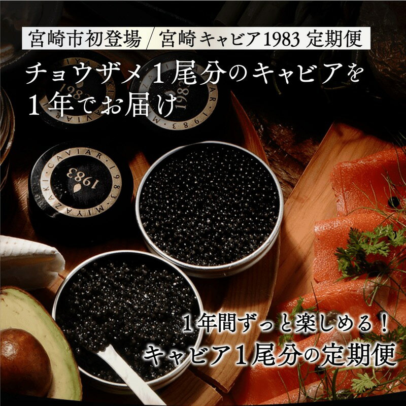 【ふるさと納税】【定期便4回】チョウザメ1尾分のキャビアを1年でお届け 600g(100g×2回 200g×2回) 宮崎キャビア1983 シロチョウザメ 卵 岩塩 熟成 宮崎県 宮崎市 送料無料