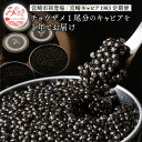 チョウザメ1尾分のキャビアを1年でお届け 600g(100g×2回 200g×2回) 宮崎キャビア1983 シロチョウザメ 卵 岩塩 熟成 宮崎県 宮崎市 送料無料