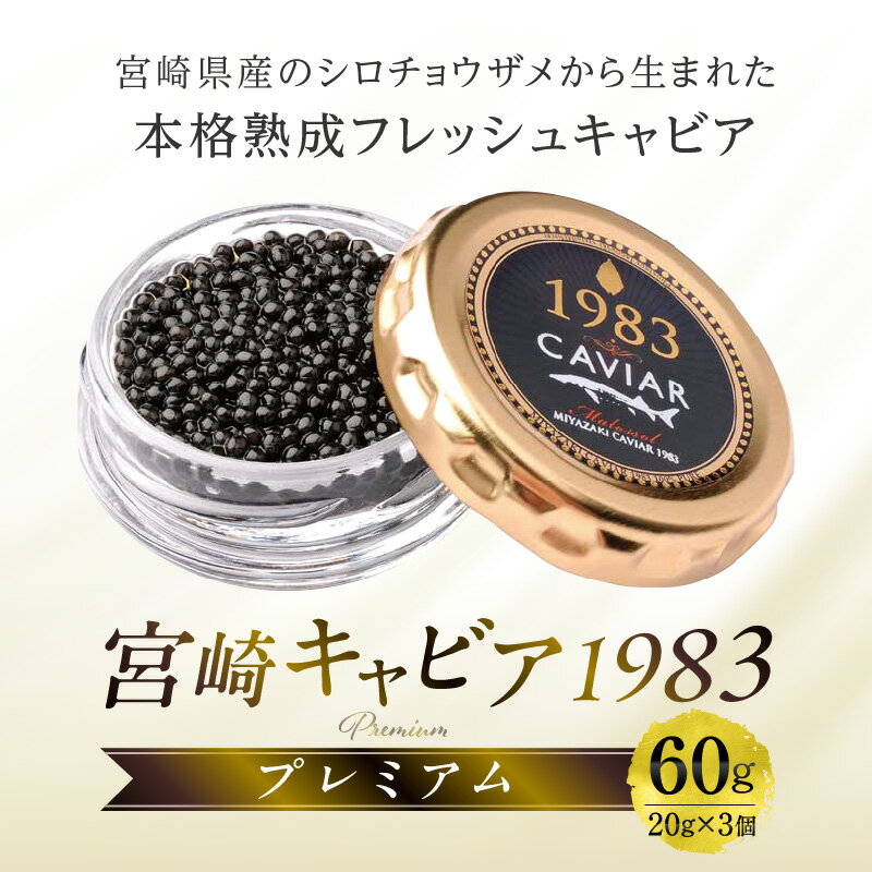 �ڤդ뤵��Ǽ�ǡۡ����ܥ��ե����2017 �դ뤵�ȥ��եȺǹ��(�ܺ긩��)�۵ܺꥭ��ӥ�1983 �ץ�ߥ���(60g) ����ӥ� ���祦���� ��̣ ����������̣ £��ʪ £�� £���� ���ե� �ץ쥼��� ��ǰ�� �ǥ��ʡ� ����� ������ �͵� �������� �建ʪ ���� �建�� �� �ܺ��