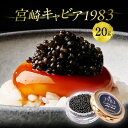 【ふるさと納税】 宮崎キャビア1983 (20g) 国産キャビア 高級 ギフト 卵 本格熟成キャビア キャビアマイスター 伊勢志摩サミット キャビア 贈答 贈り...