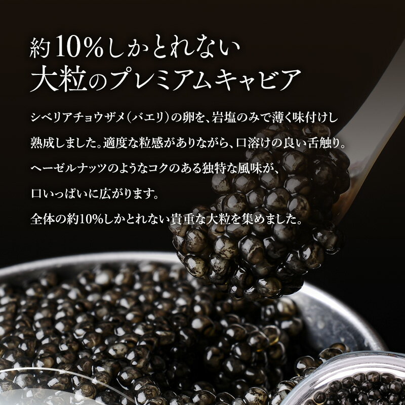 �ڤդ뤵��Ǽ�ǡ۵ܺꥭ��ӥ�1983 �Х���ץ�ߥ��� (60g) ANA �ե������ȥ��饹 ���亮�٥ꥢ���祦���� ����ӥ� ��̣ ��鿩�� £�� £���� £��ʪ ���ե� �ץ쥼��� ����Ȣ���� ����Ȣ ����� ������ �͵� ��� ���� ���祦���� �ܺ긩 �ܺ�� ����̵��