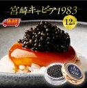 【ふるさと納税】【日時指定可能】宮崎キャビア1983 (12g) 魚卵 本格熟成キャビア チョウザメ キャビアマイスター 国産キャビア 国際線ファーストクラス ...