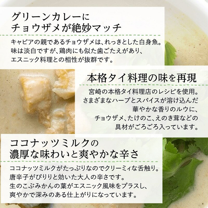 【ふるさと納税】＜チョウザメ肉を使った宮崎県のご当地カレー＞ みやざきのグリーンカレー　5個セット 大人の辛さ 本格辛口 グリーンカレー チョウザメ肉 タケノコ エノキ カレー 惣菜 レトルト 簡単調理 時短調理 おかず グルメ お取り寄せ おすすめ 宮崎県 宮崎市 f452017-miyazaki-10000694 宮崎県宮崎市 サンプル画像3