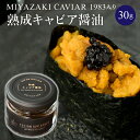 yӂ邳Ɣ[ŁznLrAݖ 30g MIYAZAKI CAVIAR 1983 Y F |  n  `EU z  I {茧 {s 