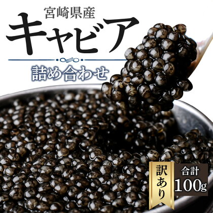 訳あり 宮崎県産 キャビア 本格熟成 フレッシュキャビア 厳選 詰め合わせ 合計 100g シロチョウザメ シベリアチョウザメ ベステルチョウザメ ロシアチョウザメ 宮崎県 宮崎市 送料無料