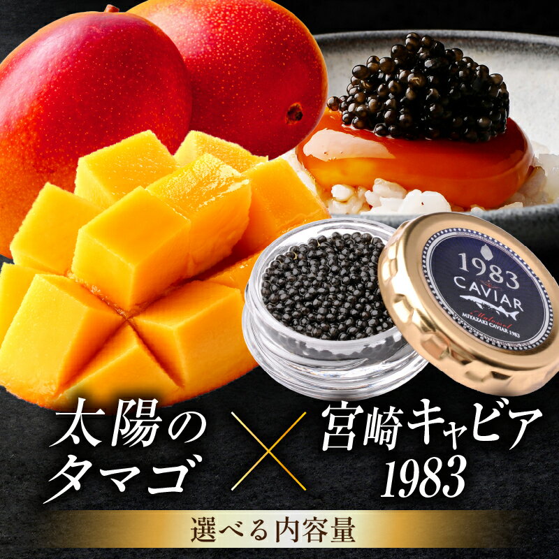 【ふるさと納税】《2026年発送》【内容量が選べる】【数量・期間限定】宮崎のグルメセット 太陽のタマゴ＆宮崎キャビア1983 セット 詰め合わせ 完熟マンゴー マンゴー 太陽のタマゴ 果物 果実 フルーツ キャビア 水産物 三大珍味 珍味 高級 宮崎県 宮崎市 宮崎 ふるさと