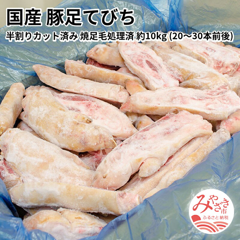 【ふるさと納税】国産 豚足てびち 半割りカット済み 焼足毛処理済 冷凍 約10kg (20〜30本前後) 豚足 て..