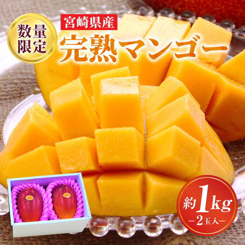 【ふるさと納税】《2025年発送》【期間・数量限定】完熟マンゴーA3L マンゴー 完熟 果物 フルーツ デザート 南国フルーツ ウルシ科 果汁 果肉 甘さ 宮崎県産 国産 お礼品 贈答 贈り物 ギフト プレゼント グルメ お取り寄せ 宮崎県 宮崎市 送料無料のサムネイル