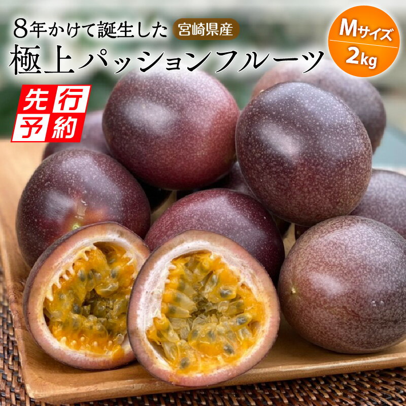 期間限定 数量限定 8年かけて誕生した宮崎県産極上パッションフルーツ M 2kg 樹上完熟 ルビースター サマークイーン 10種類 品種 手間暇 香り 炭酸水 焼酎 ドリンク フルーツ ギフト お土産 宮崎県 宮崎市 送料無料