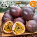 【ふるさと納税】《2025年発送》【期間・数量限定】8年かけて誕生した宮崎県産極上パッションフルーツM 2kg 果物 フルーツ 果実 果汁 樹上完熟 ルビースター サマークイーン 10種類 品種 手間暇 香り 炭酸水 焼酎 ドリンク フルーツ ギフト お土産 宮崎県 宮崎市 送料無料
