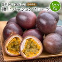 【ふるさと納税】《2025年発送》【期間・数量限定】8年かけて誕生した宮崎県産極上パッションフルーツL 2kg ルビースター サマークイーン 10種類 果物 フ...