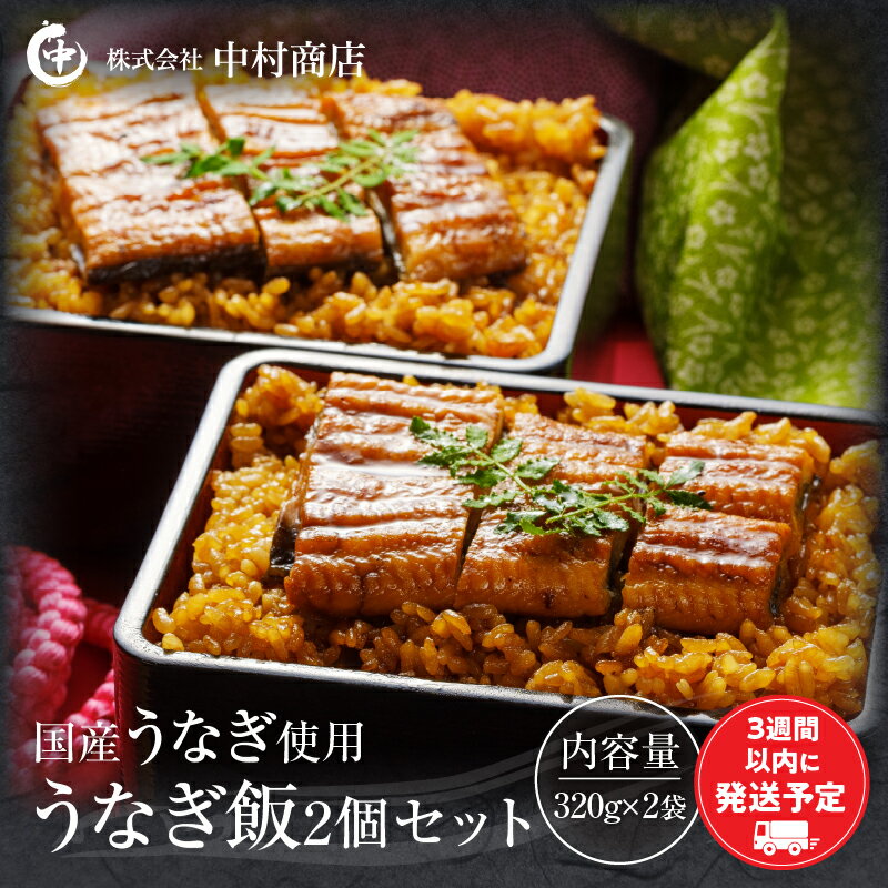 【ふるさと納税】うなぎ飯2個セット(320g×2袋) 白焼き