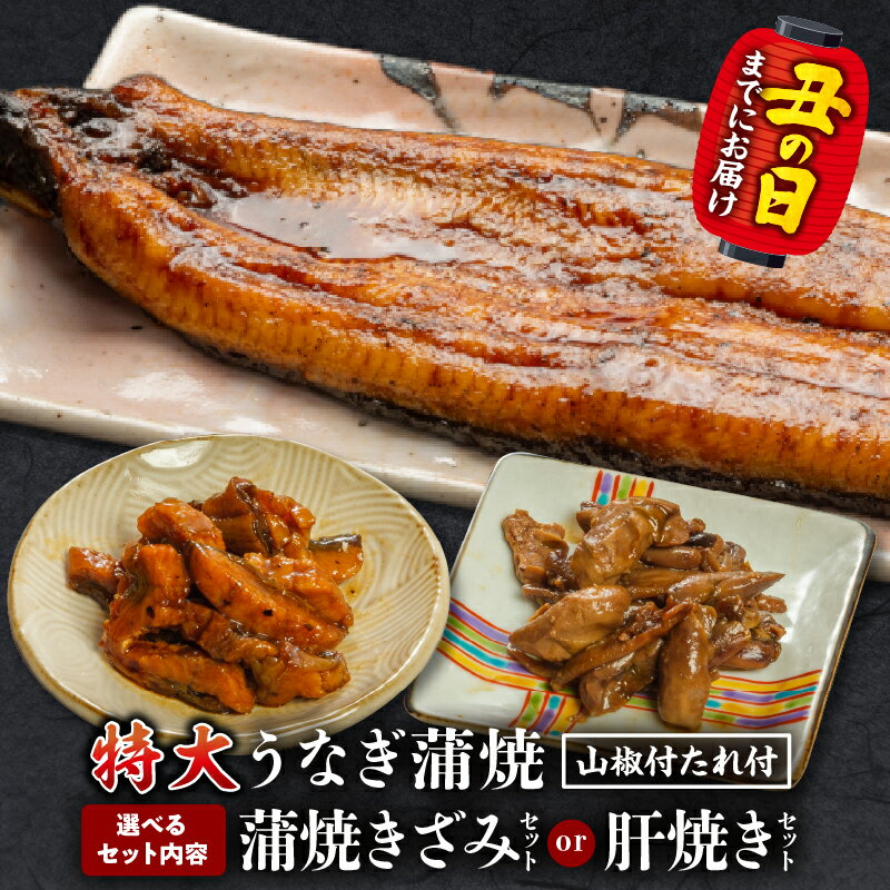 [選べるセット内容・発送月]国産うなぎ蒲焼(特大サイズ)ときざみ・肝焼きセット うなぎ 鰻の蒲焼 蒲焼 うなぎ蒲焼き きざみ 肝焼き うなぎきざみ セット 詰め合わせ 選べる 惣菜 お惣菜 おかず 贈答 贈り物 ギフト お歳暮 お中元 プレゼント 人気 宮崎市