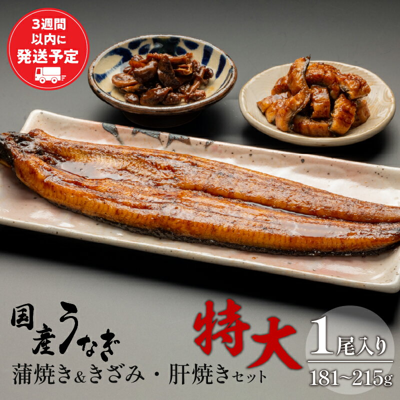 国産うなぎ 蒲焼き 特大サイズ(181〜215g)・きざみ・肝焼きセット 旨味 凍結技術 自慢 国産鰻 希少 九州産 白焼き たれ 蒲焼きざみ お吸い物 さんしょう お土産 ギフト 宮崎県 宮崎市 送料無料