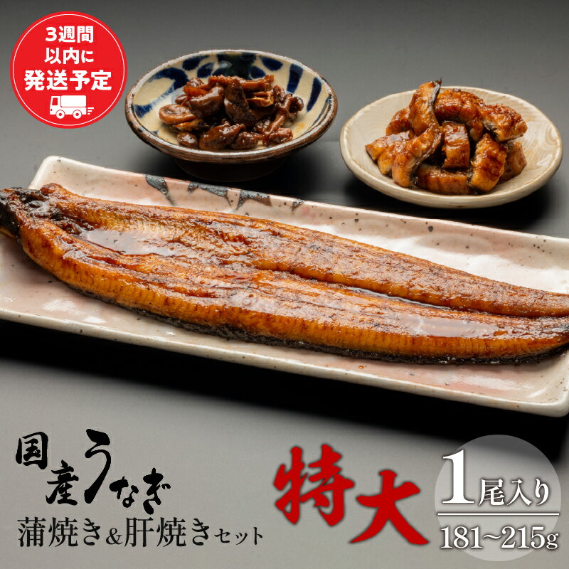 国産うなぎ 蒲焼き 特大サイズ(181〜215g)・肝焼きセット たれ 旨味 凍結技術 自慢 国産鰻 希少 丁寧 お吸い物 さんしょう 空パック お土産 ギフト 鰻 宮崎県 宮崎市 送料無料