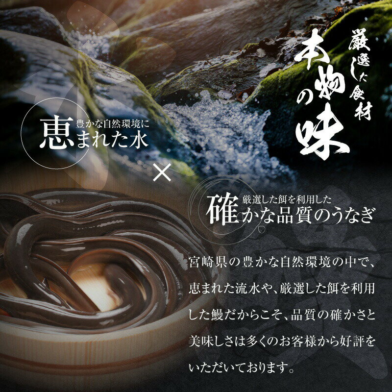 【ふるさと納税】国産うなぎ蒲焼き特大サイズ(181〜215g)・蒲焼きざみセット 旨味 凍結技術 自慢 国産鰻 九州産 白焼き 料理 レンジ 湯煎 ご家族 お吸い物 さんしょう たれ お土産 ギフト 宮崎県 宮崎市 送料無料