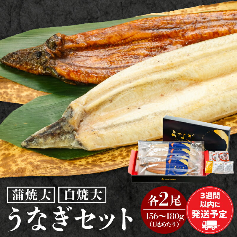 【ふるさと納税】白焼大 蒲焼大 各2尾 セット 国産ウナギ 