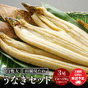 【ふるさと納税】うなぎ白焼3尾 セット うなぎ 白焼き 大サイズ うなぎセット うなぎの白焼き 詰め合わせ 山椒 たれ 蒸し焼き 惣菜 お惣菜 贈答 贈り物 ギ...